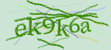 Проверочный код